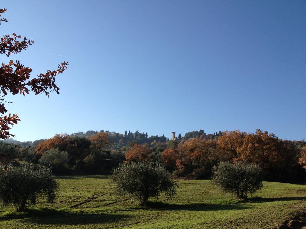 Podere Schioppello Casale Con Appartamenti Privati Cibottola Екстериор снимка