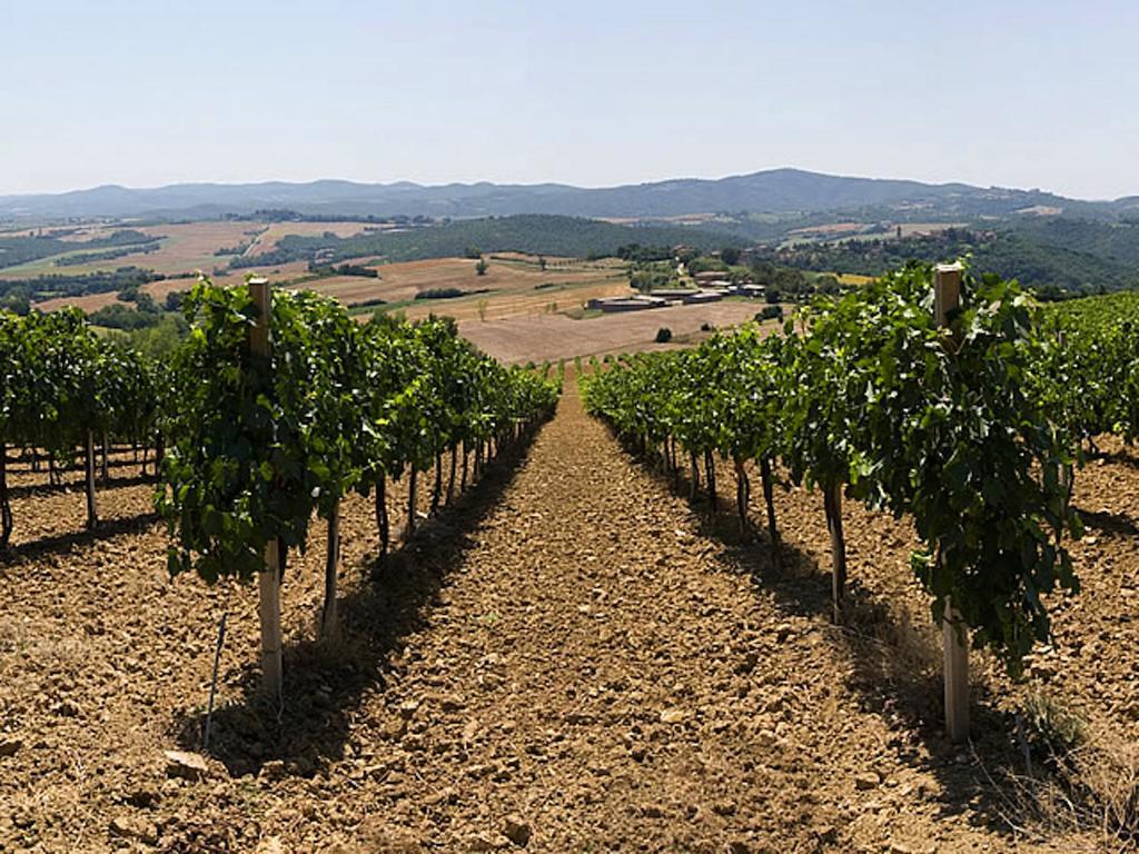 Podere Schioppello Casale Con Appartamenti Privati Cibottola Екстериор снимка
