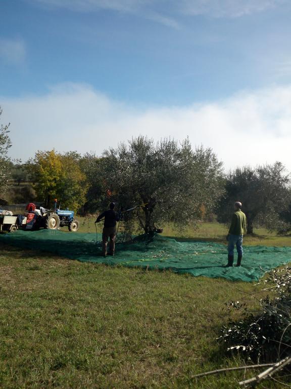 Podere Schioppello Casale Con Appartamenti Privati Cibottola Екстериор снимка